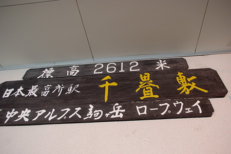 IMGP3919