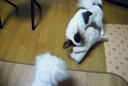 DSCN1392_0003