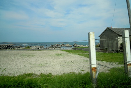 DSCN3035