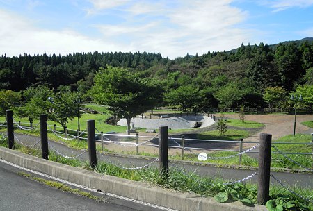 DSCN4409