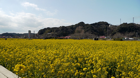 P1000706