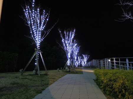 DSCN0708