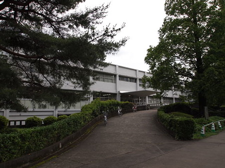P6190697