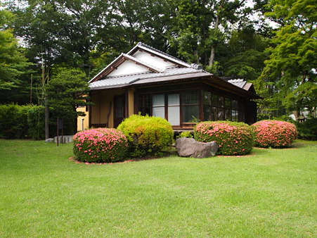 P6190701