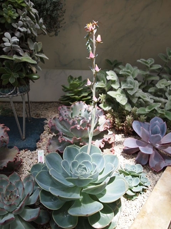 P7041096
