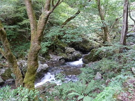 岡山2010 114