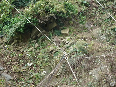 2010箱根伊豆 118