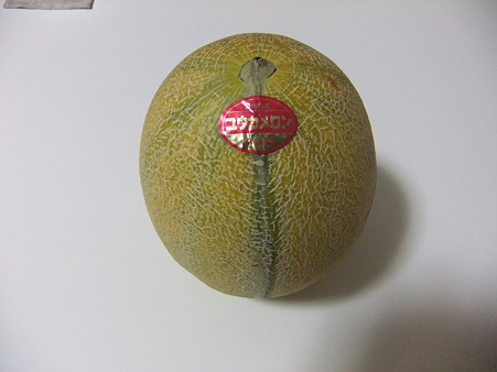 2010_06010066