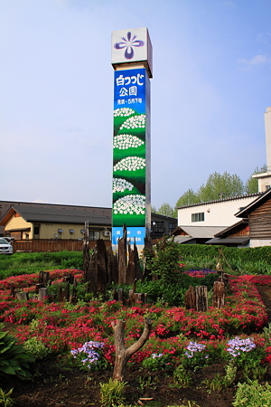 水と緑と花の長井