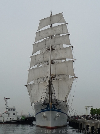 120602-新日本丸 (3)