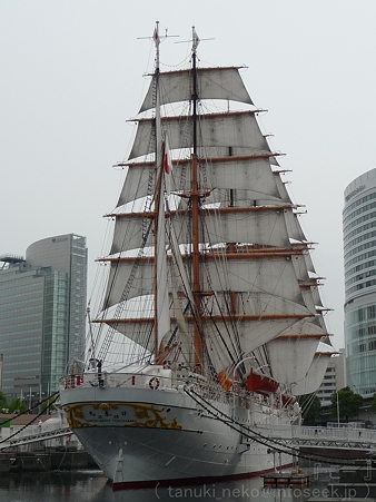 120602-旧日本丸 (23)