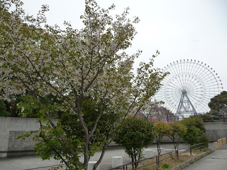 100331-天保山公園
