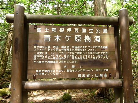 100518-青木ヶ原樹海-6