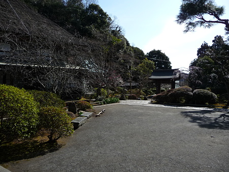 110225-海蔵寺 (7)