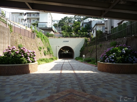 110622-東横廃線 反町→横浜 (34)