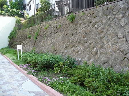 110622-東横廃線 反町→横浜 (35)