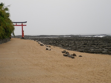 20100507青島1