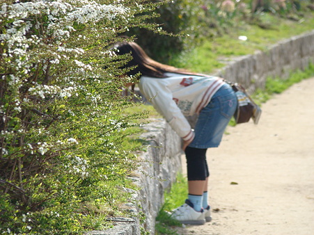 ある日の公園