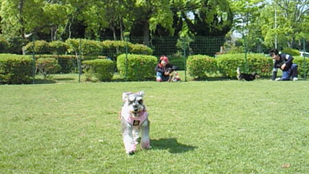 201005161452000