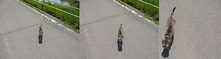 来る