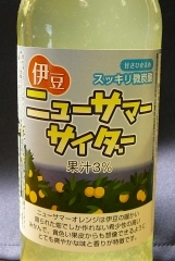 ニューサマーサイダー