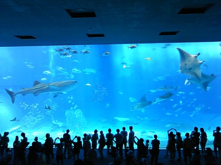 lifeximg_20100720053343
