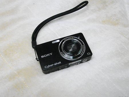 DSC-WX1