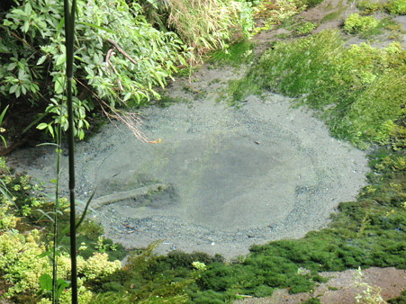 P7190021