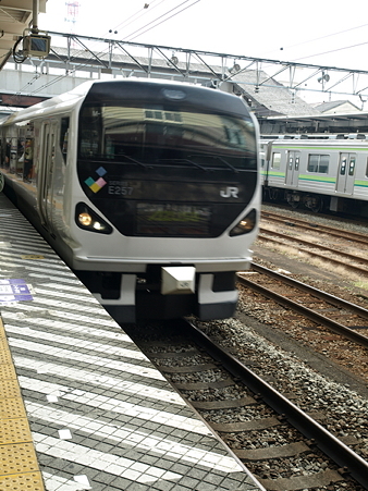 E257系(八王子駅)