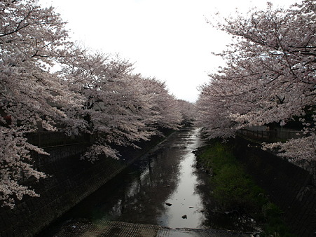 恩田川32