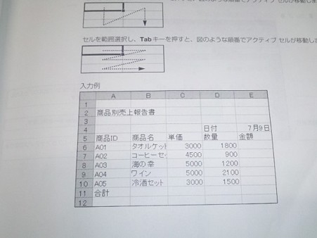 SH3I0098