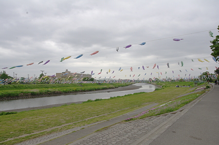 IMGP9391