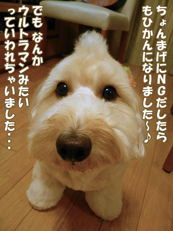 くーかいのモヒカン 1
