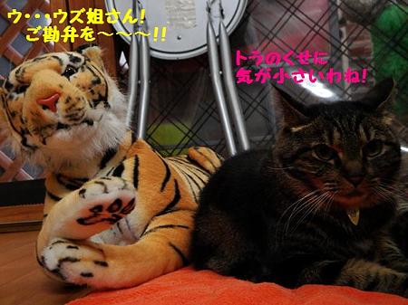 ウズ&トラ子