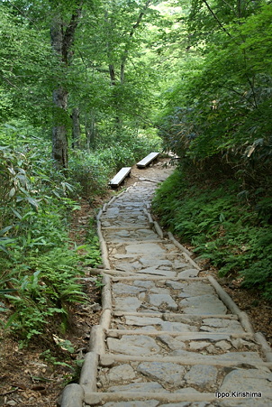 DSC05309
