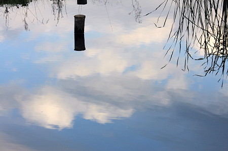 2010.11.04 和泉川 水面に杭と青空