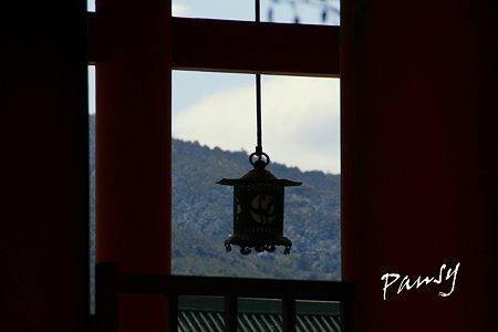 平安神宮神苑にて・・1
