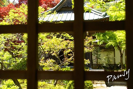 新緑の海蔵寺・・2