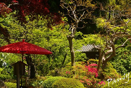 赤い傘のある風景・・