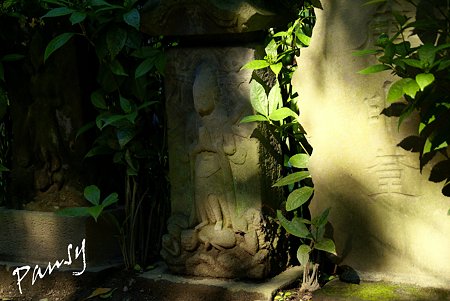 御霊神社にて・・2
