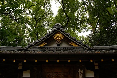 美しい屋根・・太神宮
