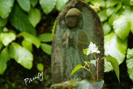 風待月の東慶寺・・3