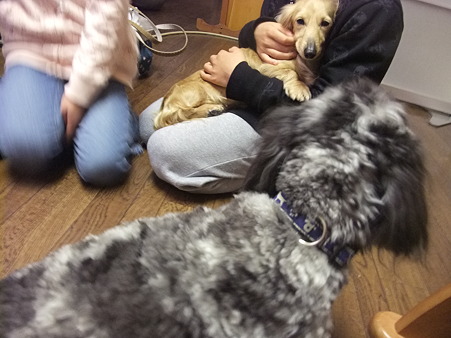 お兄ちゃんにも抱かれる