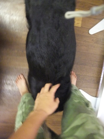 ボクの事呼んだ~~?