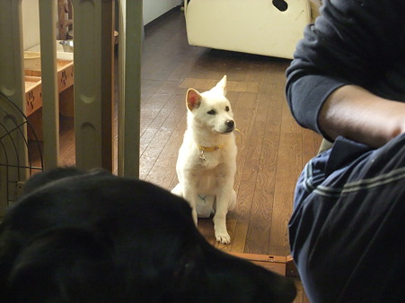 それ何?