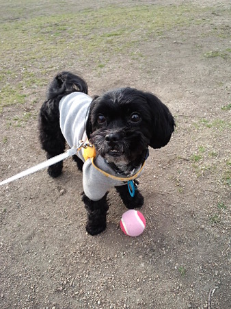 公園にて