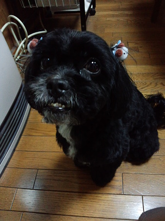 美容室行きました