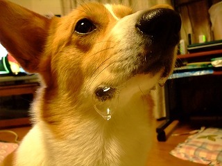 2010_03280017