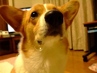 2010_03280015