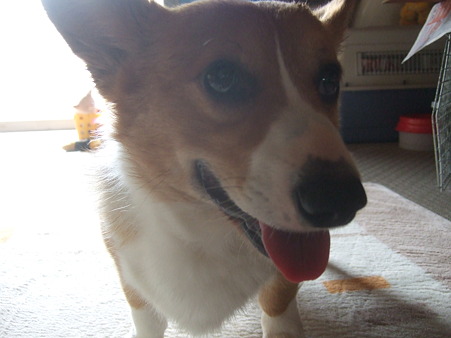 DSCF4487